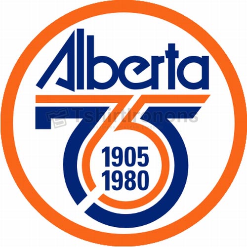 Edmonton Oilers T-shirts Iron On Transfers N156